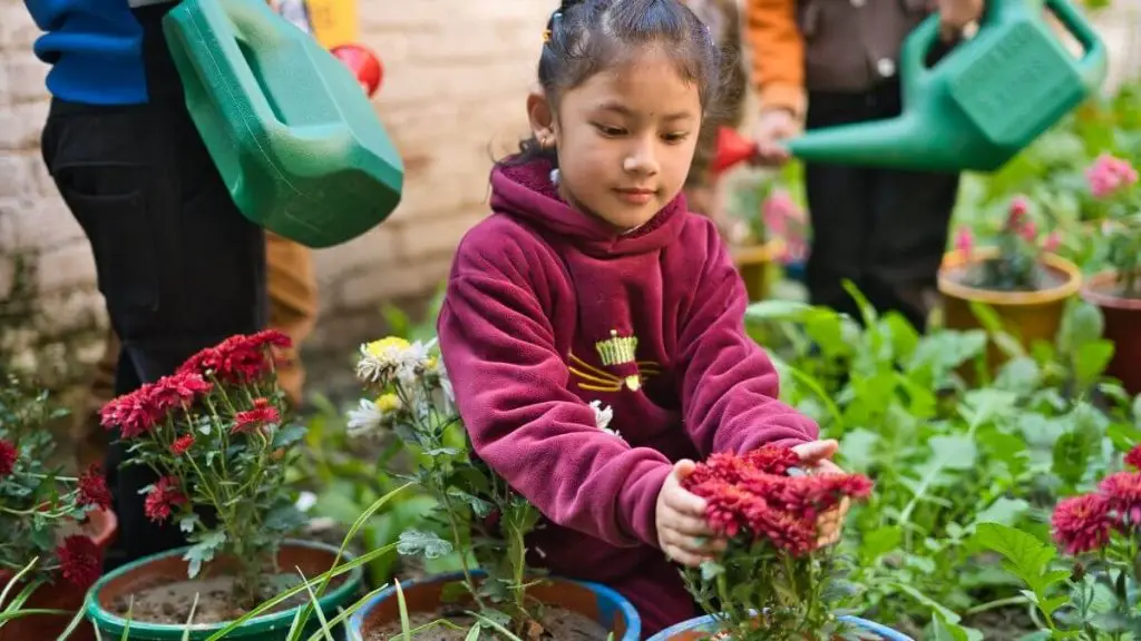 teaching flower gardening to preschool kids, best preschool at valley